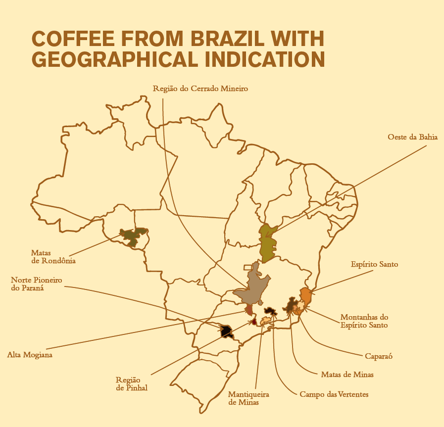 REGIOES VS2 Vale da Grama — Casa Brasil Coffees