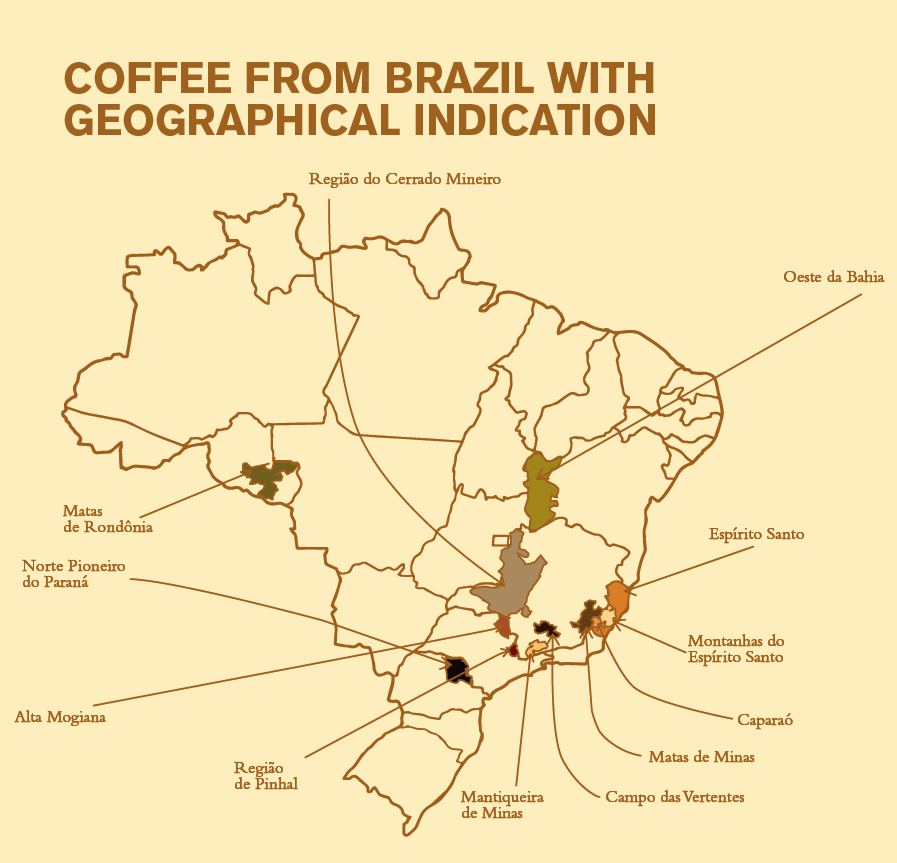 REGIOES VS2 Matas de Rondônia — Casa Brasil Coffees