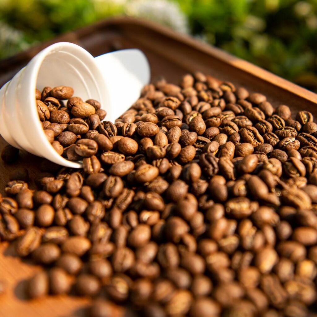 A measuring cup in roasted selection Peaberry coffee