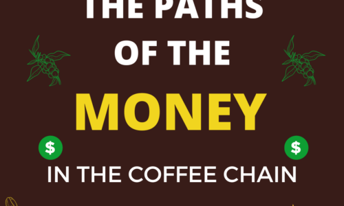 The paths of the money in the coffee chain